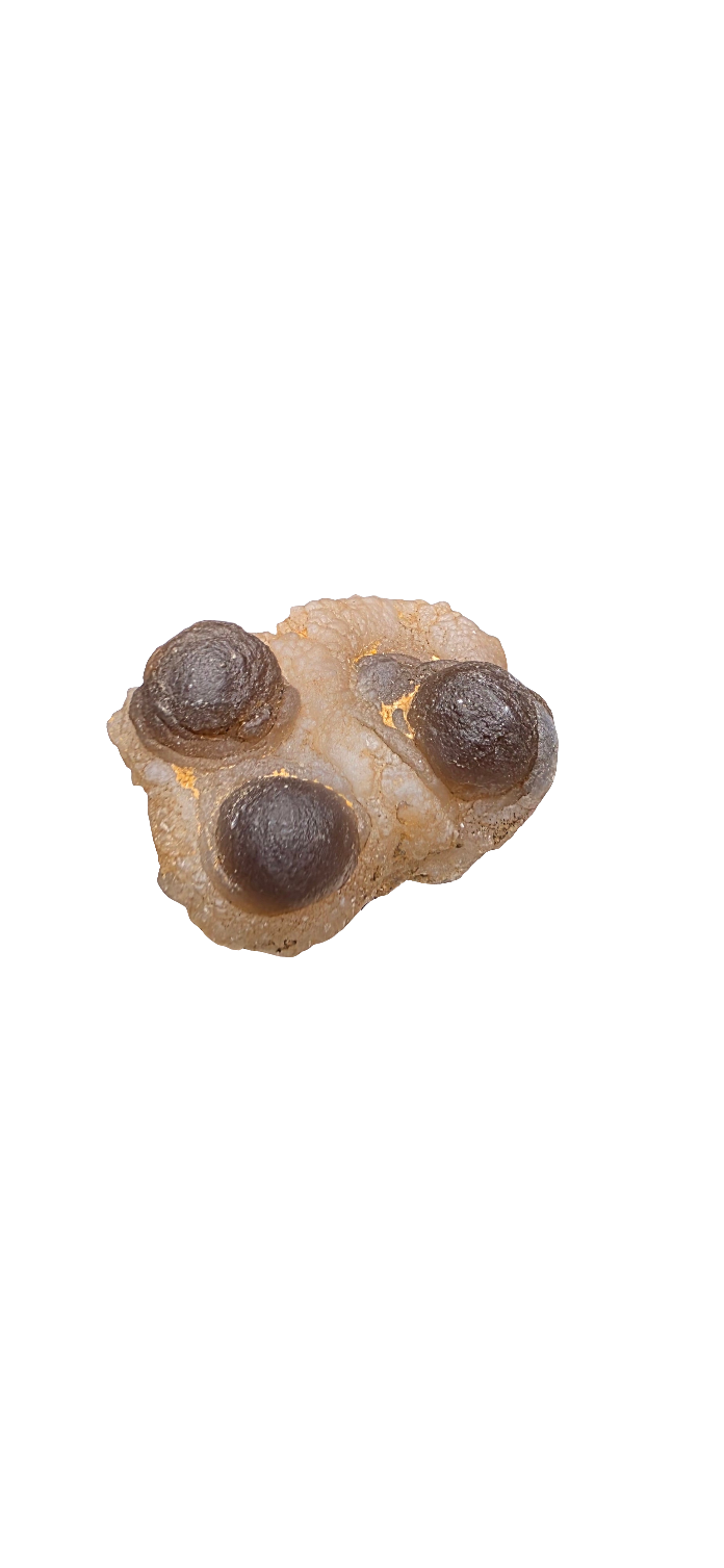 Black Chalcedony Specimen