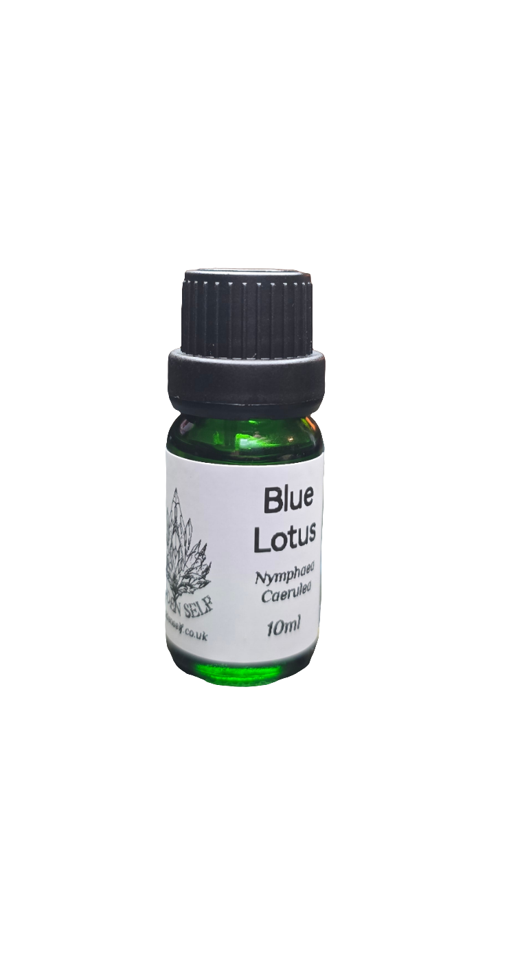 Blue Lotus Essential Oil