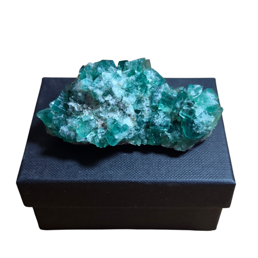 PJ Pocket / Pyjama Pocket Fluorite Specimen Flat – Diana Maria Mine