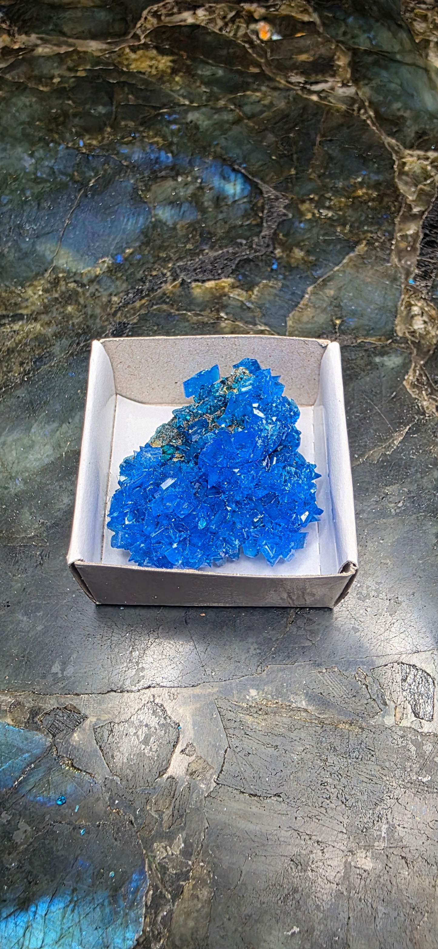 Chalcanthite Specimen