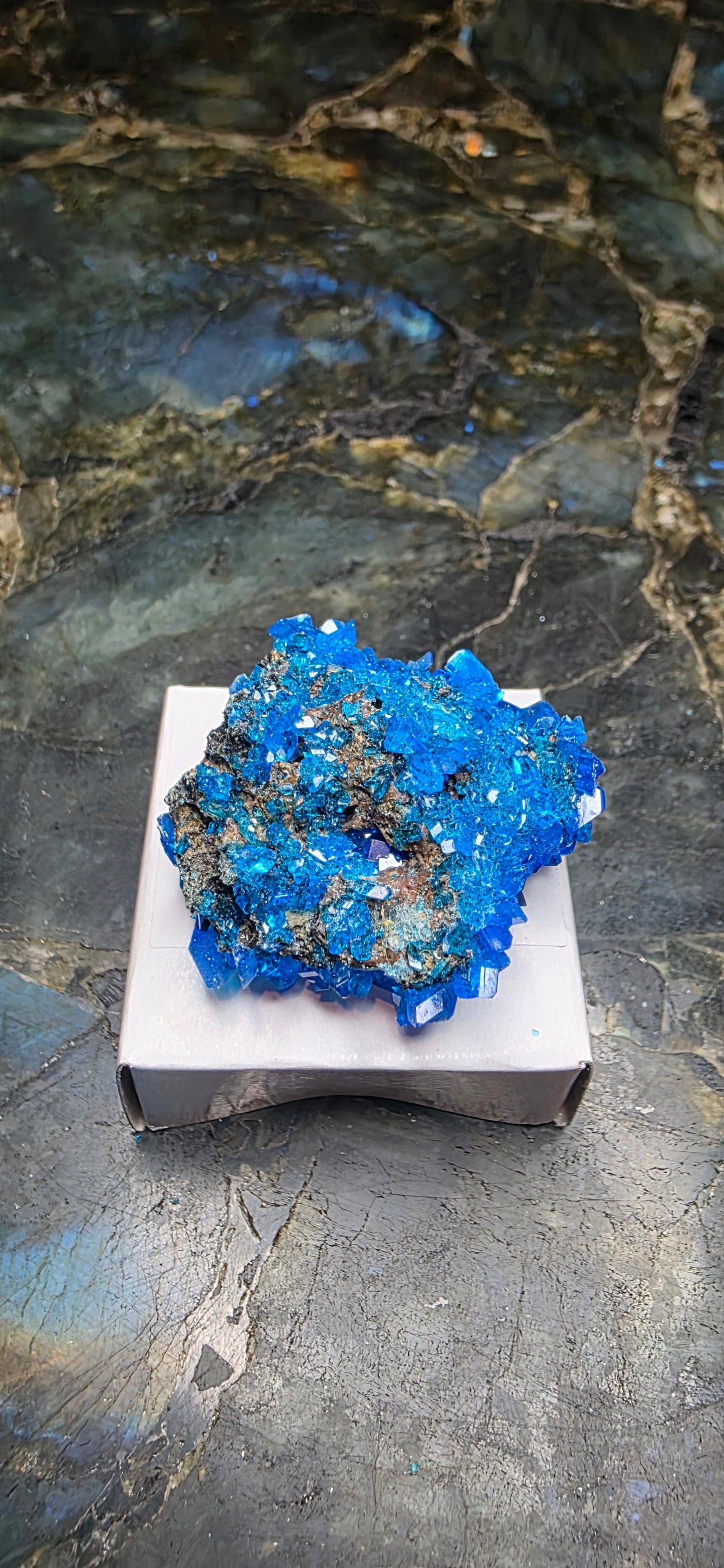 Chalcanthite Specimen